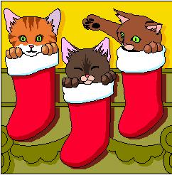 stocking.jpg